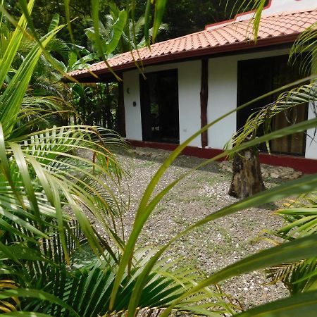 Villas Jungle 5 Sámara Exterior foto