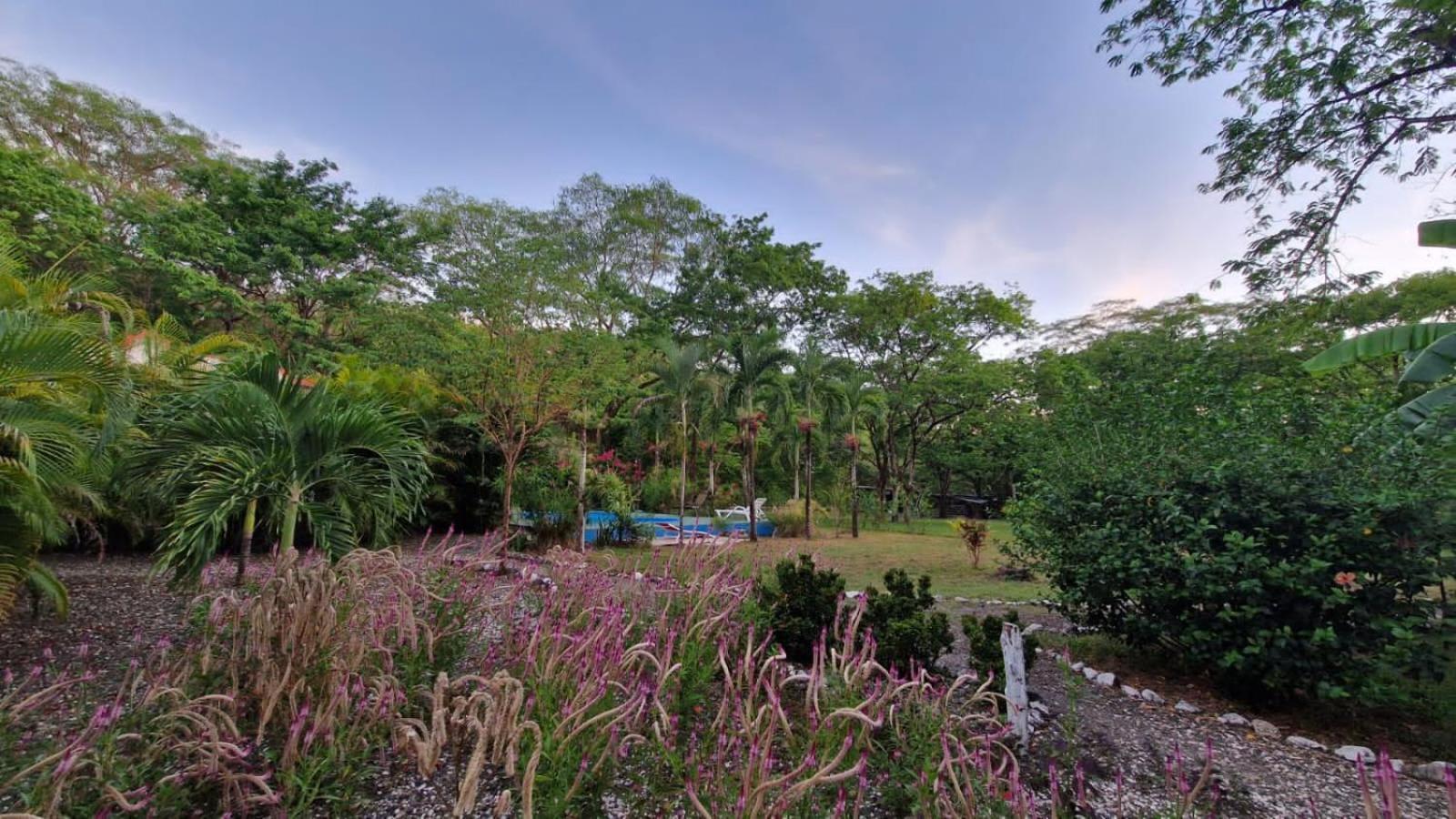 Villas Jungle 5 Sámara Exterior foto