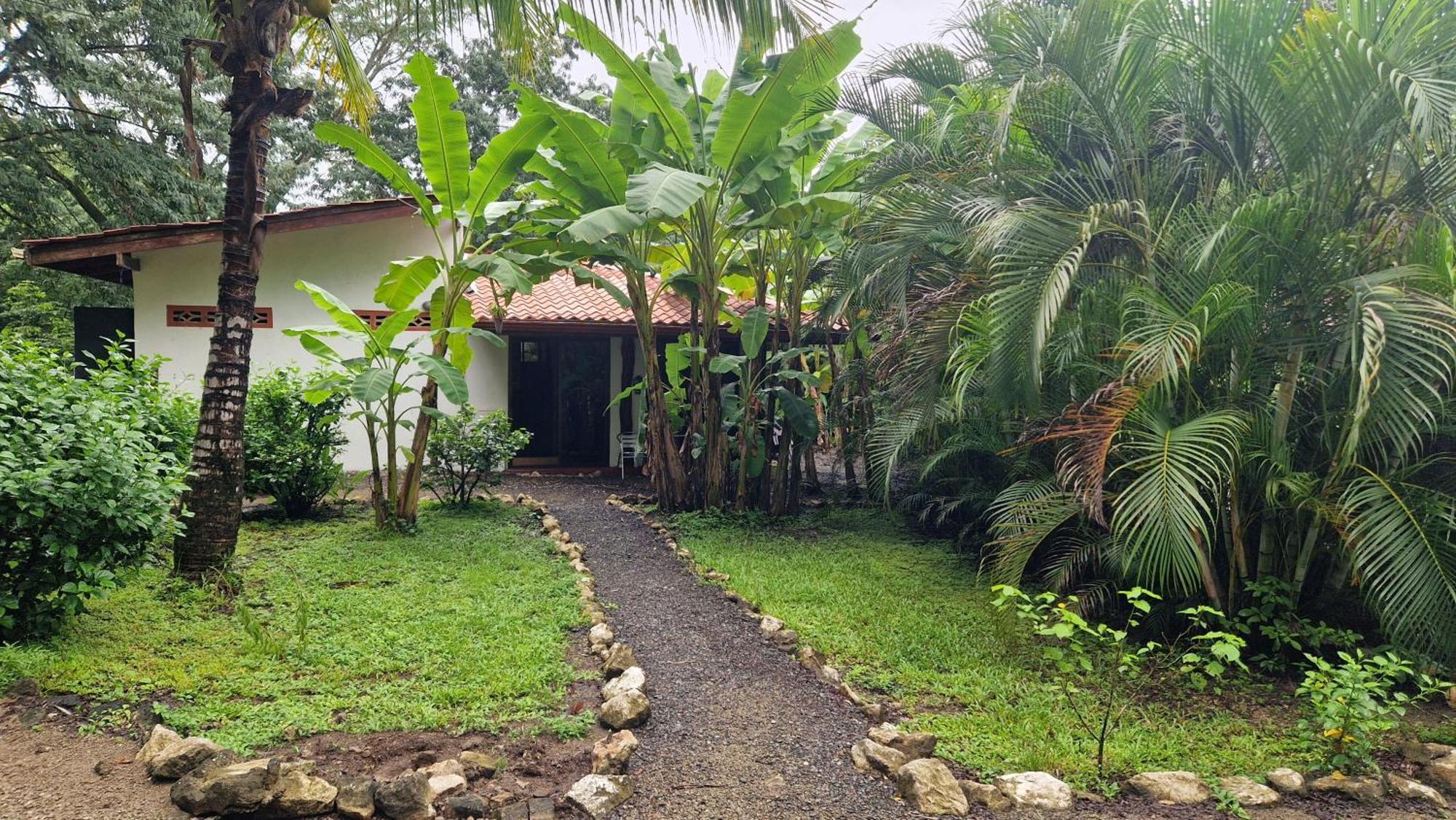 Villas Jungle 5 Sámara Exterior foto